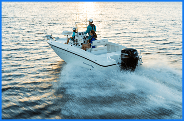 Virginia Lifetime Boater S Card Vdgif