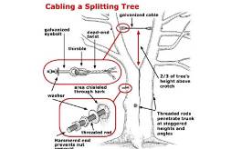 Arbortech Supply Offers A Full Range Of Arborist Supplies For Tree Professionals And Diy Homeowners