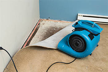 How To Clean A Basement After A Flood Rental Ranch Wichita Ks 316 838 4211