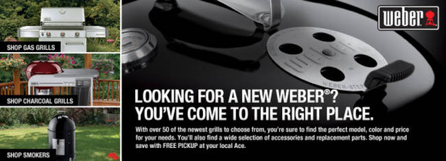 Outdoor Grills S S Ace Hardware