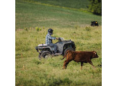 2026 Polaris SPORTSMAN 450 H.O. GHOST GRAY CA Base - Wesley Chapel, FL