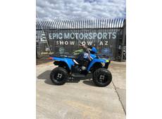 2025 Polaris sportsman® 110 efi - Show Low, AZ