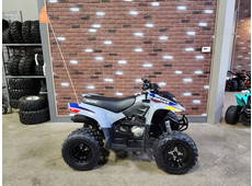 2025 Polaris phoenix 200 - Dimondale, MI
