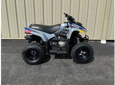 2025 Polaris phoenix 200 - Bridgeport, WV