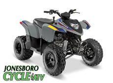 2025 Polaris phoenix 200 - Bono, AR