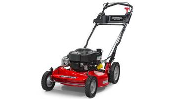 2019 Commercial Series CRP218520 (7800968)