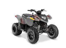 2023 Polaris Phoenix 200 Avalanche Gray - Hamilton, AL