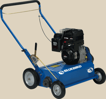 Lawn dethatcher rental deals