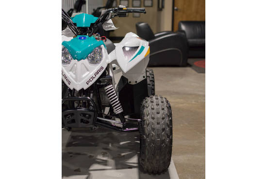 2025 outlaw® 110 efi