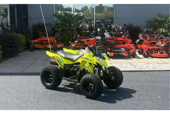 2026 Outlaw 110 EFI