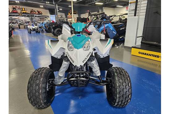 2025 outlaw® 110 efi