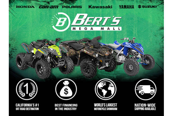2025 rzr® 200 efi