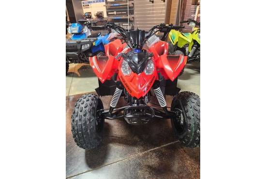2026 Outlaw 110 EFI