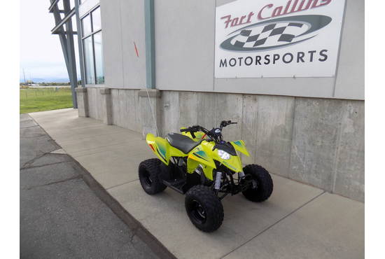 2026 Outlaw 110 EFI