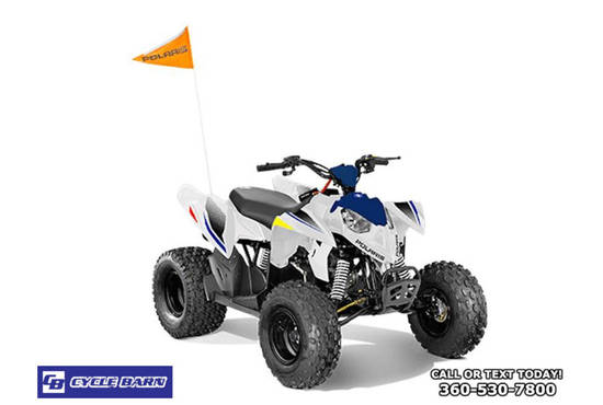 2025 outlaw® 110 efi