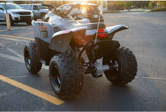 2025 phoenix 200
