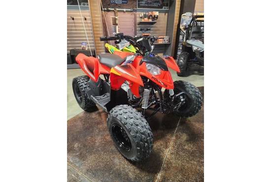 2026 Outlaw 110 EFI