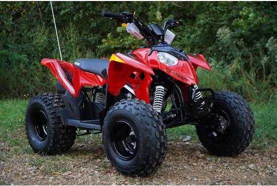 2026 Outlaw 110 EFI