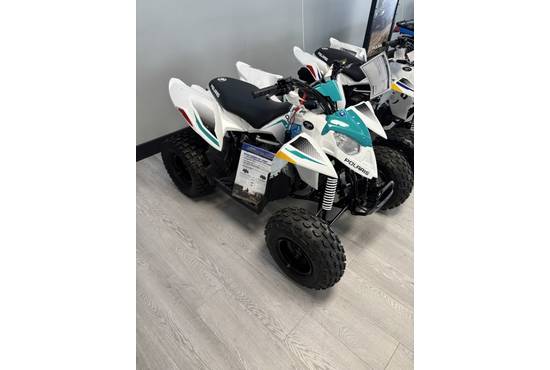 2025 Outlaw 110 EFI