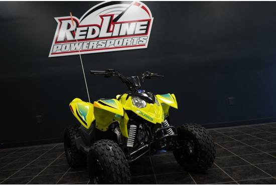 2026 Outlaw 110 EFI