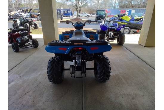 2025 sportsman® 110 efi