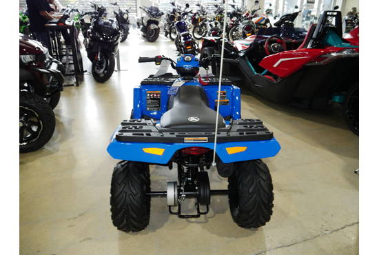 2025 sportsman® 110 efi