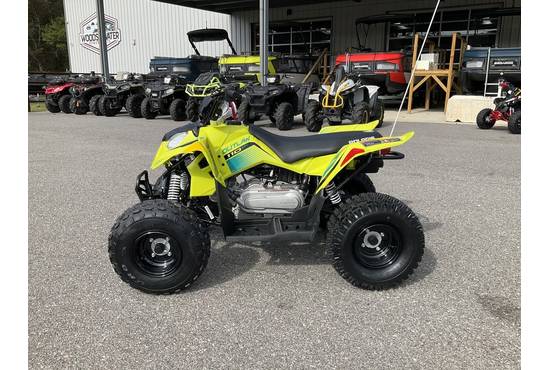 2026 Outlaw 110 EFI