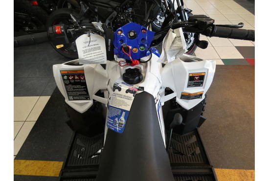 2025 outlaw® 110 efi