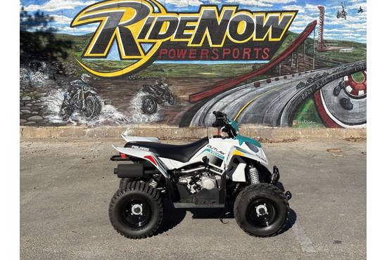2025 outlaw® 110 efi