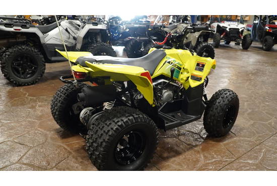 2026 Outlaw 110 EFI