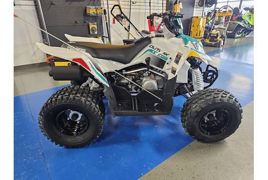 2025 outlaw® 110 efi