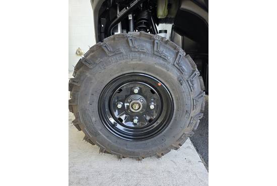 2025 rzr® trail sport