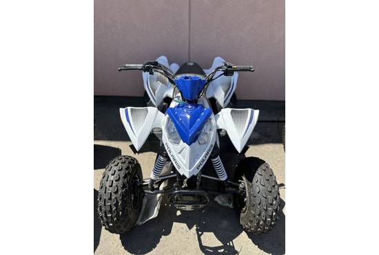 2025 outlaw® 110 efi