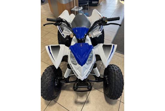 2025 outlaw® 110 efi
