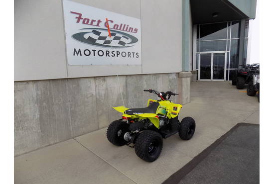 2026 Outlaw 110 EFI