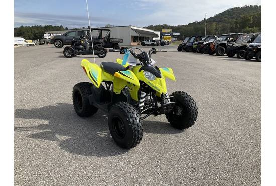 2026 Outlaw 110 EFI
