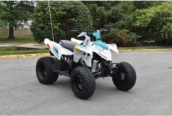 2025 outlaw® 110 efi