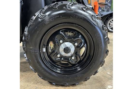 2025 scrambler® 850