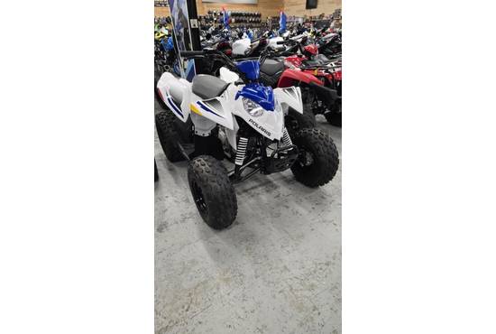 2025 outlaw® 110 efi