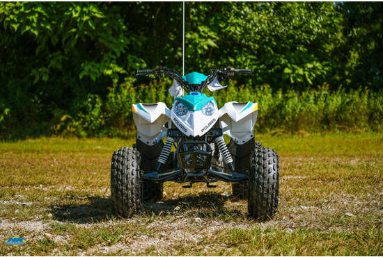 2025 outlaw® 110 efi