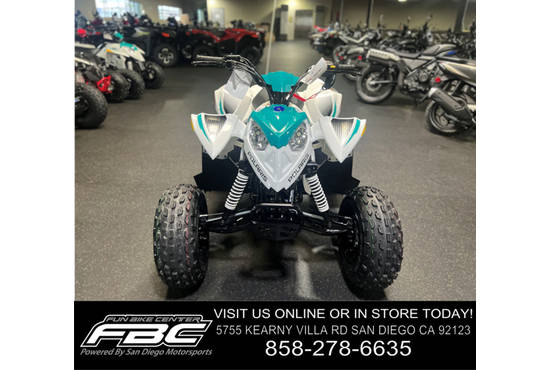 2025 outlaw® 110 efi