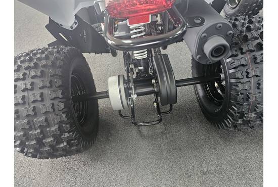 2025 outlaw® 110 efi
