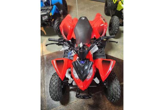 2026 Outlaw 110 EFI