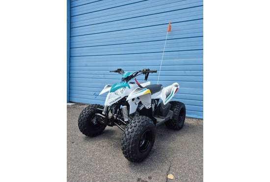 2025 outlaw® 110 efi