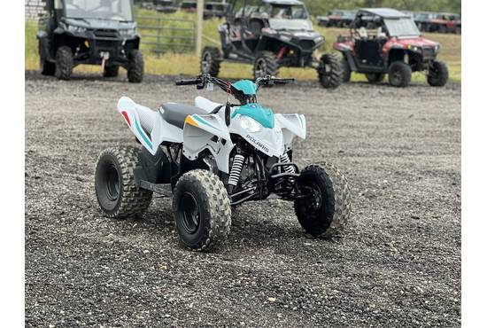 2025 outlaw® 110 efi