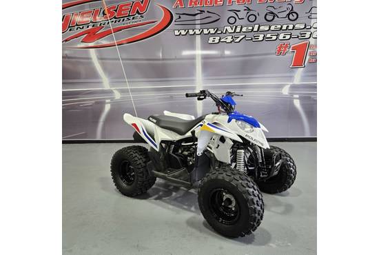2025 outlaw® 110 efi
