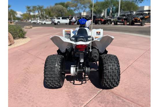 2025 outlaw® 110 efi