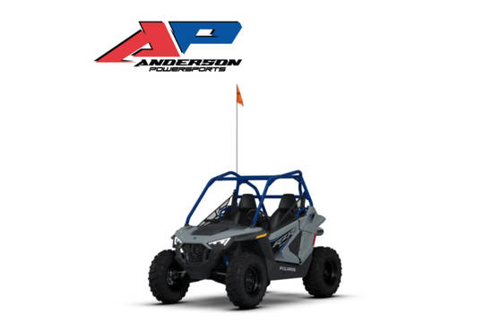 RZR 200 EFI