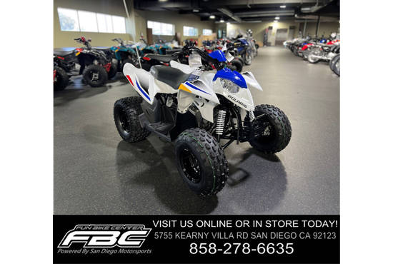 2025 outlaw® 110 efi