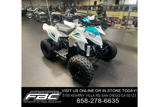 2025 outlaw® 110 efi
